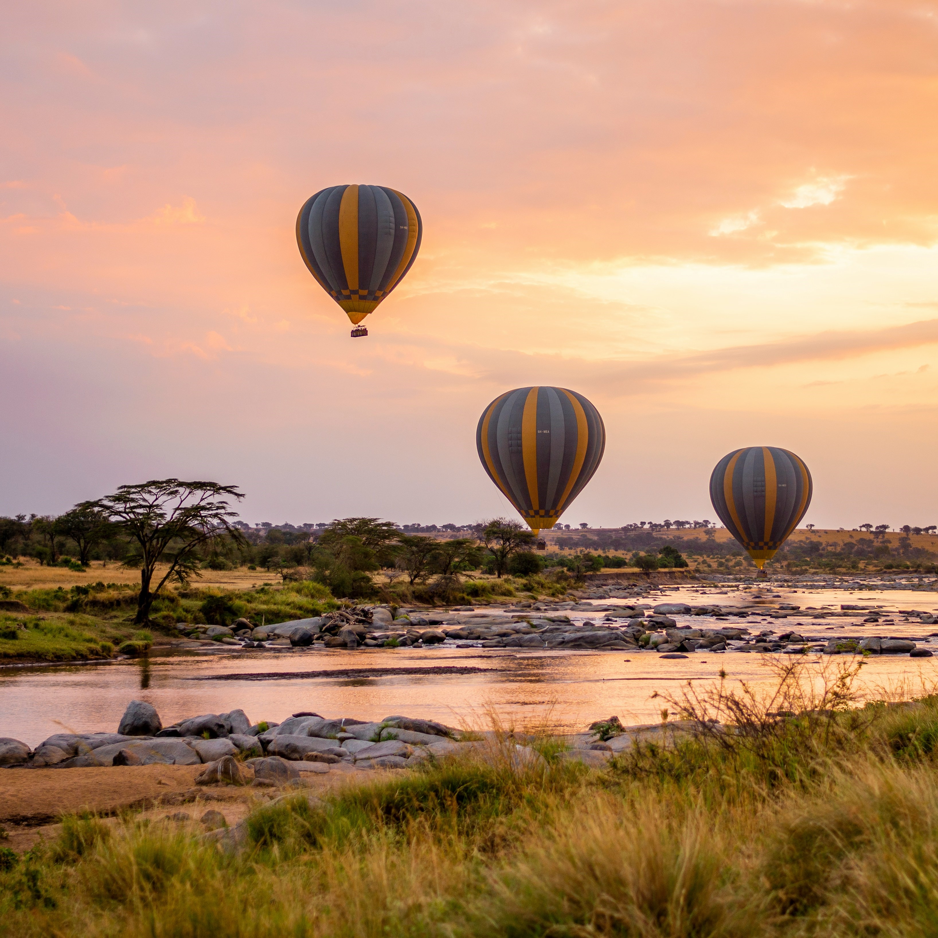 Tanzania Safari